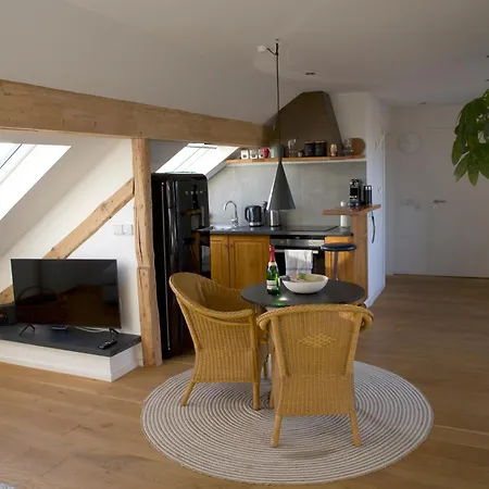 Appartement Lichtdurchflutetes Mit Dachterasse Zwischen Koeln Und Duesseldorf